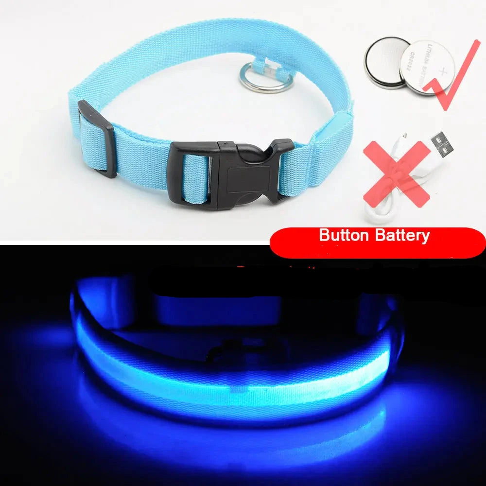 Get 20% OFF an LED Dog Collar  + a FREE Copy Of - 15 Essential Safety Tips for Walking Your Dog at Night - eBook