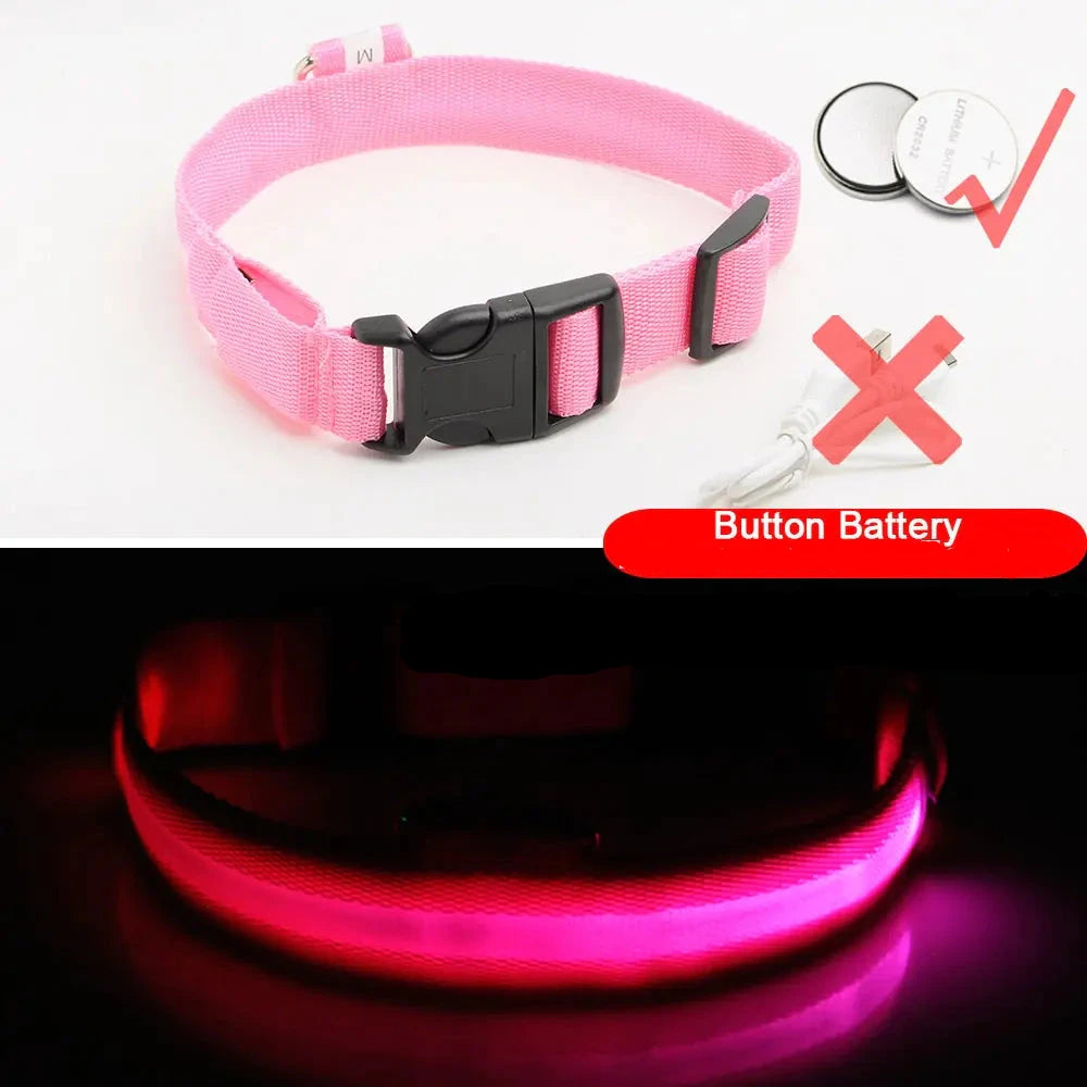 Get 20% OFF an LED Dog Collar  + a FREE Copy Of - 15 Essential Safety Tips for Walking Your Dog at Night - eBook