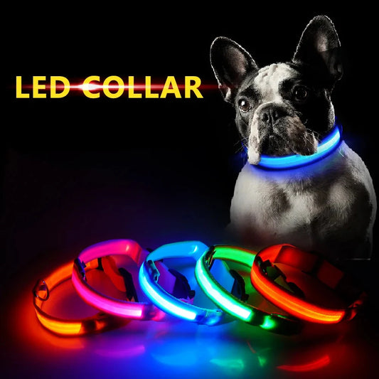 Get 20% OFF an LED Dog Collar  + a FREE Copy Of - 15 Essential Safety Tips for Walking Your Dog at Night - eBook