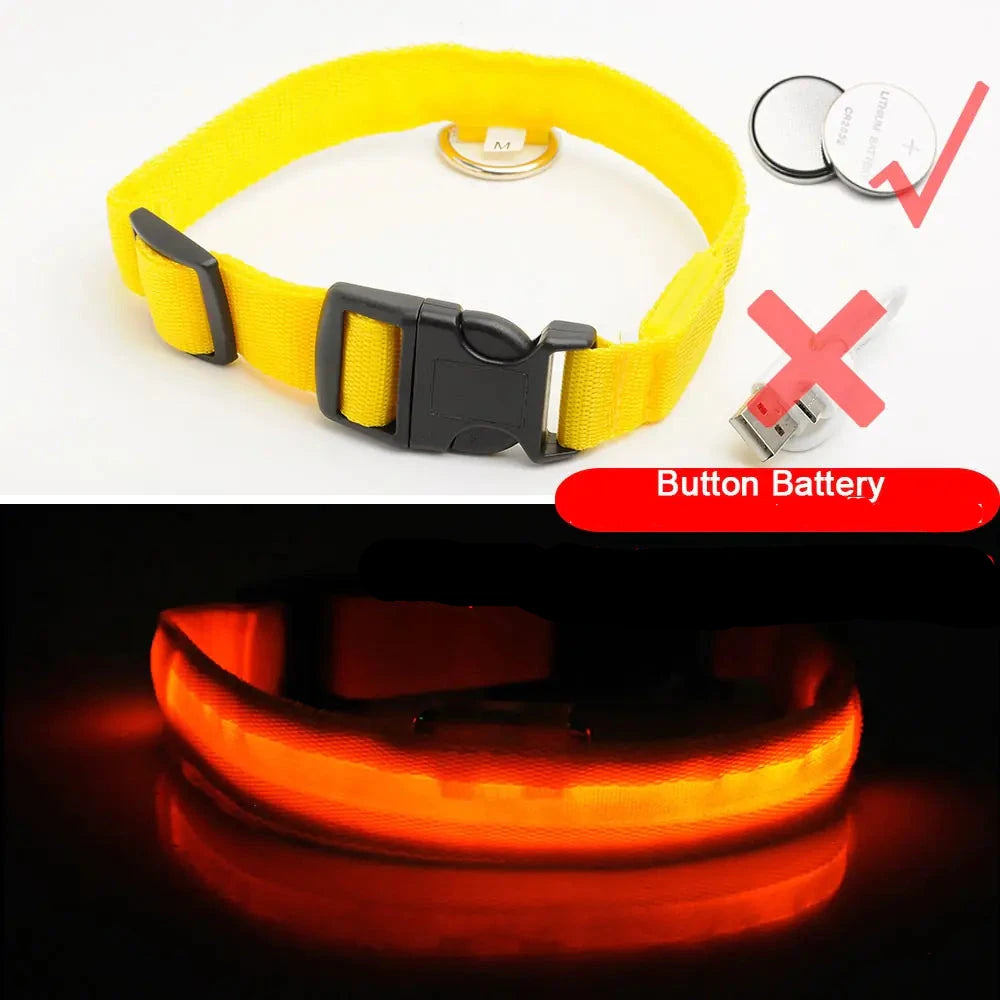 Get 20% OFF an LED Dog Collar  + a FREE Copy Of - 15 Essential Safety Tips for Walking Your Dog at Night - eBook