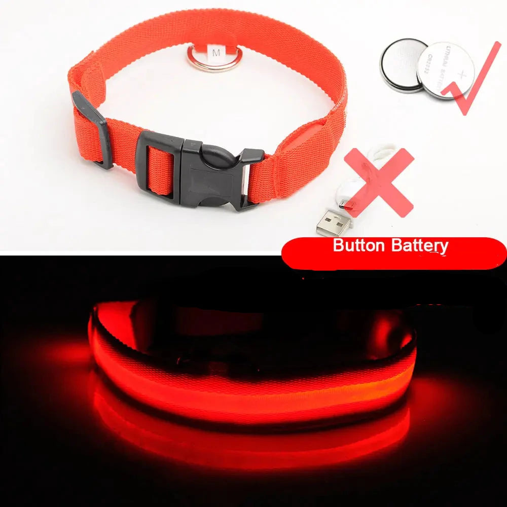 Get 20% OFF an LED Dog Collar  + a FREE Copy Of - 15 Essential Safety Tips for Walking Your Dog at Night - eBook